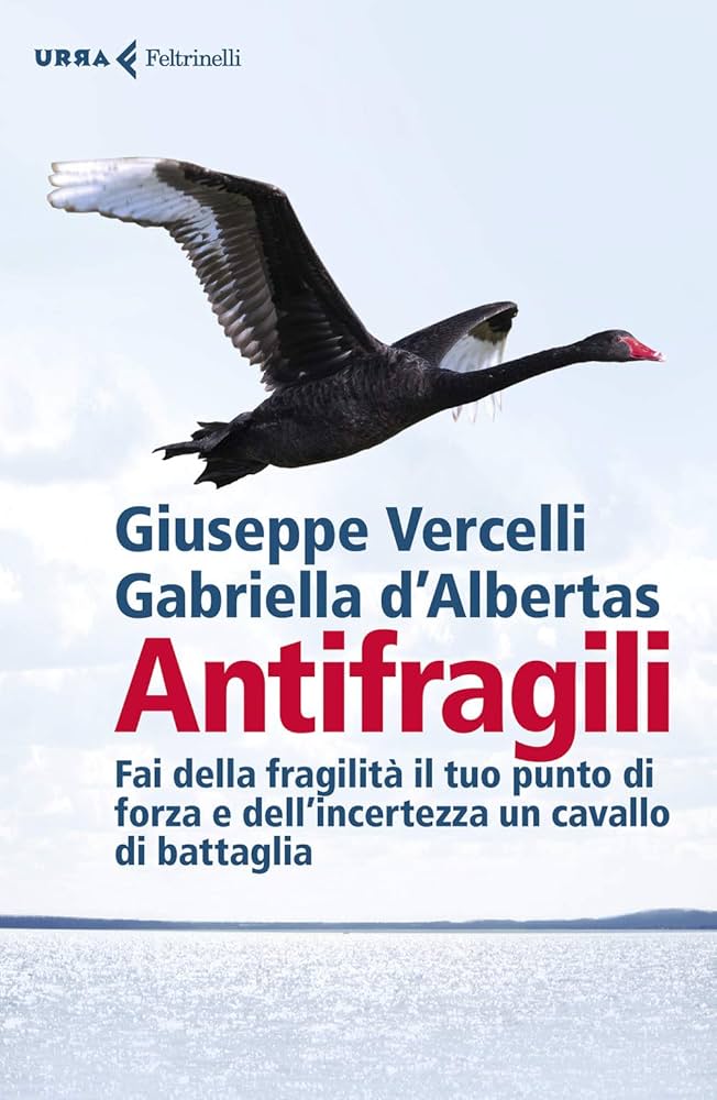 Modello Anti-Fragile